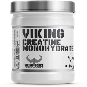 بی-سی-ای-ای-وایکینگ-۴۰۰-گرم-Viking-BCAA-2-1-1